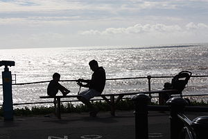 English: A father and son silhouetted on the f...